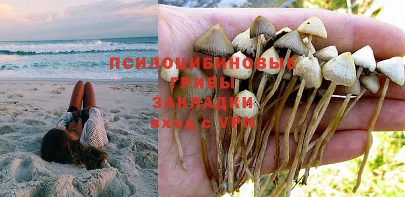 OMG вход  Закаменск  Галлюциногенные грибы Magic Shrooms 